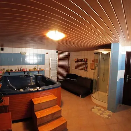 Guest house Pensiunea Lucia 3*
